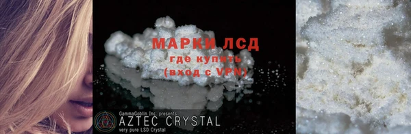 PSILOCYBIN Волосово