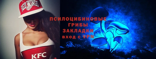 ГАЛЛЮЦИНОГЕННЫЕ ГРИБЫ Вязьма