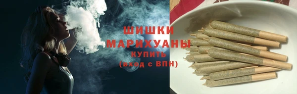 PSILOCYBIN Волосово