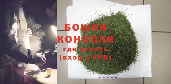 PSILOCYBIN Волосово